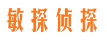 雁江捉小三公司